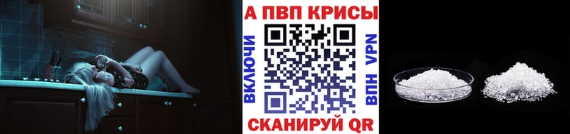 где купить наркотик  omg маркетплейс  Alfa_PVP СК КРИС  Тотьма 